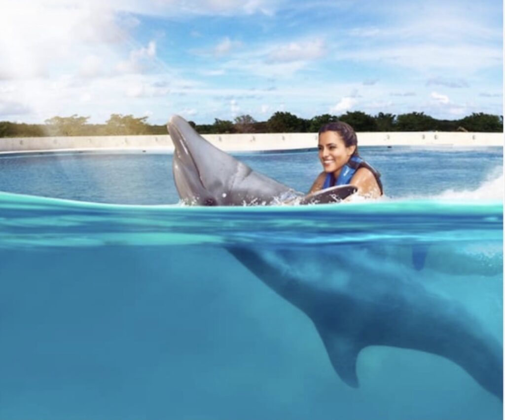 Delfines